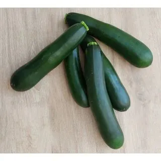 Compra CALABACÍN CONSTANTINO F1 (500 Semillas) en la tienda online Fito Agrícola