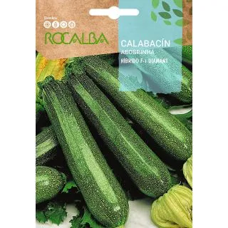 Compra CALABACÍN DIAMANT F1 (Cerca de 3 gr.). en la tienda online Fito Agrícola