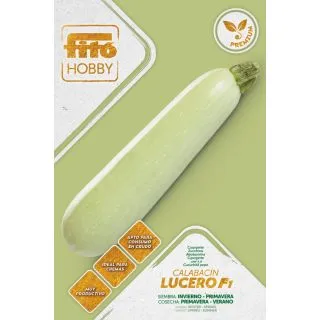 Compra CALABACÍN LUCERO F1 (40 Semillas). en la tienda online Fito Agrícola