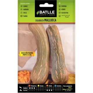 Compra CALABAZA MALLUECA (6 gr.). en la tienda online Fito Agrícola