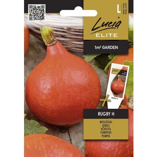 Compra CALABAZA RUGBY F1 (3 gr. - Cerca de 12 Semillas). en la tienda online Fito Agrícola