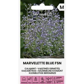 Compra CALAMINTHA MARVELETTEBLUE FSN (30 semințe). en la tienda online Fito Agrícola