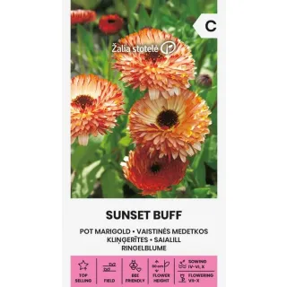 Compra CALÉNDULA BÚFALO DEL ATARDECER (1 gr.). en la tienda online Fito Agrícola