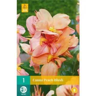 Compra CANNA PEACH BLUSH en la tienda online Fito Agrícola