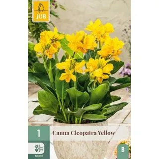 Compra CANNA CLEOPATRA YELLOW en la tienda online Fito Agrícola