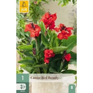 Compra CANNA RED BEAUTY en la tienda online Fito Agrícola