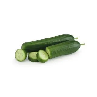 Compra PEPINO CASTEL F1 (1000 Semillas) en la tienda online Fito Agrícola