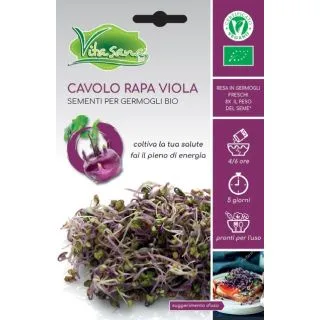 Compra COLIRRABANO VIOLET MICROGREENS BIO (10 gr.) en la tienda online Fito Agrícola