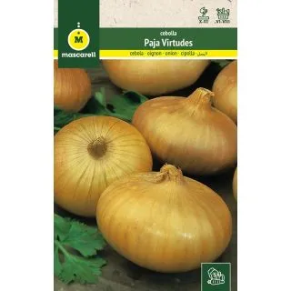 Compra CEBOLLA PAJA VIRTUDES (100 gr.) en la tienda online Fito Agrícola