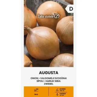 Compra CEAPĂ AUGUSTA (1 gr. - Aproximativ 250 de semințe). en la tienda online Fito Agrícola