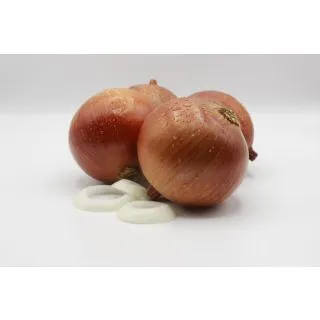 Compra CEBOLLA CENTAURO F1 Pildorada (5.000 Semillas) en la tienda online Fito Agrícola