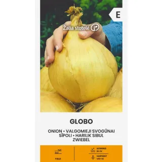 Compra CEBOLLA GLOBO (1 gr. - Cerca de 250 Semillas). en la tienda online Fito Agrícola