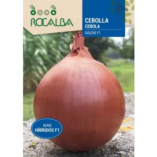 Compra CEAPĂ GOLDIE F1 (Aproximativ 500 de semințe). en la tienda online Fito Agrícola