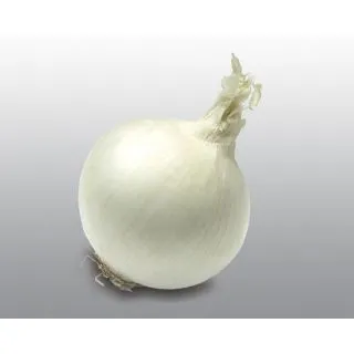 Compra CEBOLLA KEPLERO F1 Pildorada (25.000 Semillas) en la tienda online Fito Agrícola