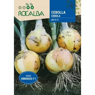 Compra CEAPĂ META F1 (Aproximativ 500 de Semințe). en la tienda online Fito Agrícola