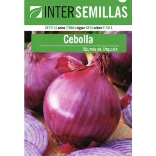 Compra CEBOLLA MORADA DE AMPOSTA Pildorada (5.000 Semillas) en la tienda online Fito Agrícola