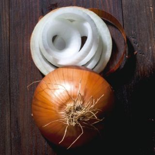 Compra CEBOLLA PEGASE F1 (100.000 Semillas). en la tienda online Fito Agrícola