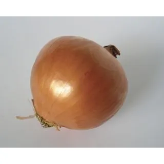 Compra CEBOLLA PITAGORA F1 Pildorada (25.000 Semillas) en la tienda online Fito Agrícola