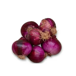 Compra CEAPĂ RED VELVET F1 Pildorată (25.000 Semințe). en la tienda online Fito Agrícola