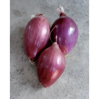 Compra CEBOLLA ROSSA DI TROPEA LUNGA (500 gr.) en la tienda online Fito Agrícola