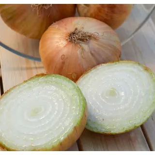 Compra CEAPĂ SABRINA F1 Pildorată (25.000 Semințe). en la tienda online Fito Agrícola