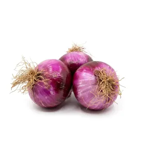 Compra CEAPĂ SANTA ENCARNA F1 (5.000 Semințe). en la tienda online Fito Agrícola