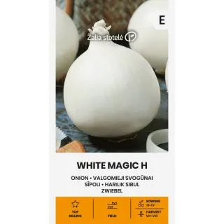 Compra CEBOLLA WHITE MAGIC F1 (1 gr. - Cerca de 250 Semillas). en la tienda online Fito Agrícola