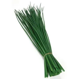 Compra CEAPĂ VERDE DOLORES (50 gr.) en la tienda online Fito Agrícola
