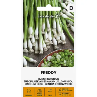 Compra CEAPĂ VERDE FREDDY (1gr. - Aproximativ 275 de semințe). en la tienda online Fito Agrícola