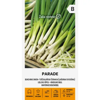 Compra CEAPĂ VERDE PARADE Pildorată (0,2 gr. - Aproximativ 50 Semințe) en la tienda online Fito Agrícola