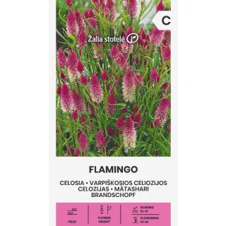 Compra CELOSIA FLAMINGO (0,3 gr. - Cerca de 400 semințe). en la tienda online Fito Agrícola