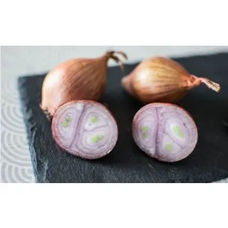 Compra CHALOTA DE SIEMBRA NOBLESSE 15/35 (500 gr.). en la tienda online Fito Agrícola