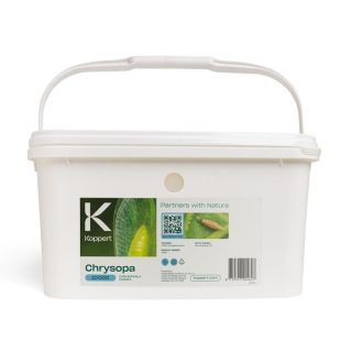 Compra CHRYSOPA 10000 ( Cubo 6 l.) en la tienda online Fito Agrícola