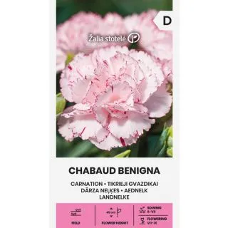 Compra CLAVEL CHABAUD BENIGNA (0,5 gr. - Aproximativ 250 de semințe). en la tienda online Fito Agrícola