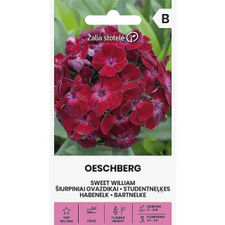 Compra CLAVEL DE POETĂ SWEET WILLIAM OESCHBERG (1 gr. - Aproximativ 900 de Semințe). en la tienda online Fito Agrícola