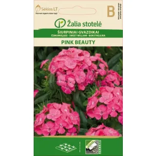 Compra CLAVEL DE POETA SWEET WILLIAM PINK BEAUTY (1 gr. - Cerca de 900 semințe). en la tienda online Fito Agrícola