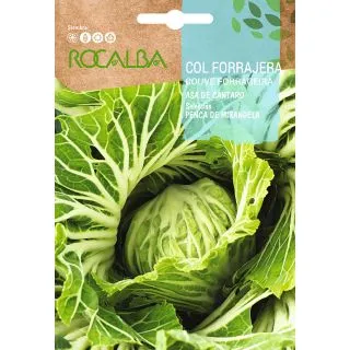 Compra COL ASA DE CÁNTARO Sel. Penca de Mirandela (10 gr.) en la tienda online Fito Agrícola