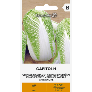 Compra COL CHINA CAPITOL F1 (0,1 gr. - Cerca de 25 Semillas). en la tienda online Fito Agrícola