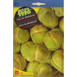 Compra COL DE BRUSELAS MEDIO ENANA DE LA HALLE (100 gr.). en la tienda online Fito Agrícola