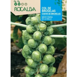 Compra COL DE BRUSELAS MEDIO ENANA DE LA HALLE (100 gr.). en la tienda online Fito Agrícola