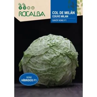 Compra COL DE MILAN SAVOY KING F1 (Cerca de 60 Semillas). en la tienda online Fito Agrícola