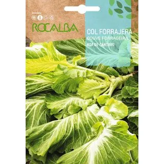 Compra COL ASA DE CÁNTARO (500 gr.) en la tienda online Fito Agrícola