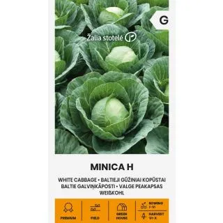 Compra COL MINICA F1 (0,5 gr. - Cerca de 125 Semillas). en la tienda online Fito Agrícola