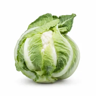 Compra CONOPIDA ARDENT F1 PELICULATĂ (2.500 Semințe) en la tienda online Fito Agrícola