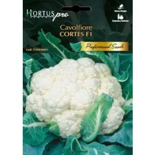 Compra COLIFLOR CORTES F1 (1 gr.) en la tienda online Fito Agrícola
