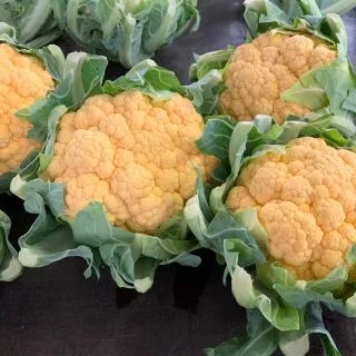 Compra COLIFLOR DORLEAC F1 (1000 Semillas). en la tienda online Fito Agrícola