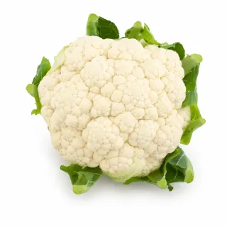 Compra CONOPIDA GRICALE F1 PELICULAT (2.500 semințe) en la tienda online Fito Agrícola