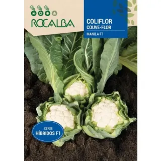 Compra CONOPIDA MANILA F1 (Aproximativ 20 de Semințe). en la tienda online Fito Agrícola