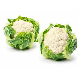 Compra CONOPIDA OMERIS F1 Vilsem (2.500 semințe). en la tienda online Fito Agrícola