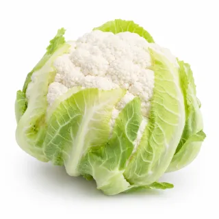 Compra CONOPIDA PONENTE F1 PELICULAT (10.000 semințe). en la tienda online Fito Agrícola